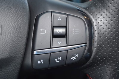 Ford Fiesta 1.0 Ecoboost Hybrid 125 CV DCT 5 porte ST-Line (14)