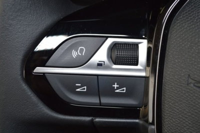 Peugeot 2008 PureTech 100 S&S Allure (13)