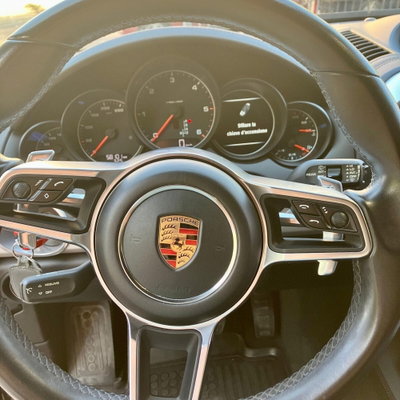 Porsche Cayenne 3.0 Diesel Platinum Edition (11)