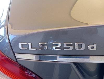 Mercedes-Benz CLS 250 d 4Matic Premium (11)