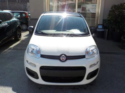 Fiat Panda 1.0 firefly hybrid s&s 70cv 5p.ti nuova