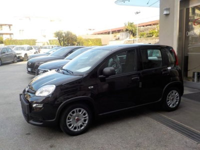 Fiat Panda 1.0 firefly hybrid s&s 70cv 5p.ti (11)