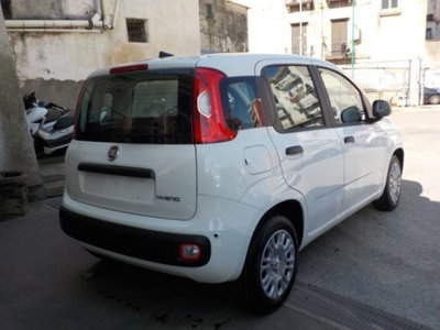 Fiat Panda 1.0 firefly hybrid s&s 70cv 5p.ti (12)
