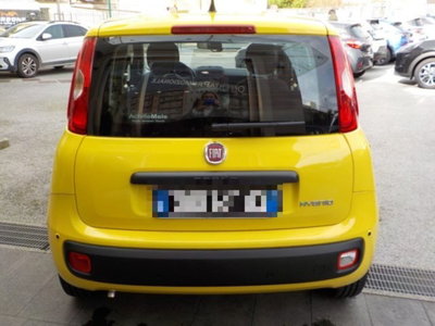 Fiat Panda 1.0 firefly hybrid s&s 70cv 5p.ti (13)