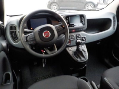 Fiat Panda 1.0 firefly hybrid s&s 70cv 5p.ti (7)
