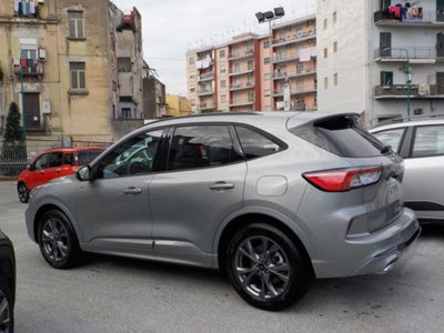 Ford Kuga 2.5 Full Hybrid 190 CV CVT 2WD ST-Line Design (12)