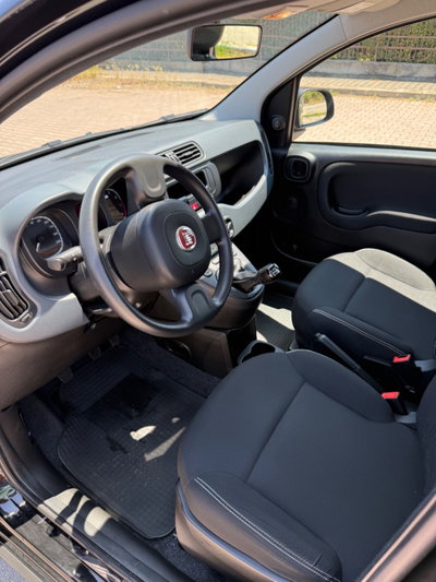Fiat Panda 1.0 firefly hybrid Pop s&s 70cv (5)
