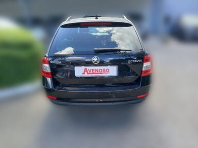 Skoda Octavia Station Wagon 1.6 TDI CR 115 CV Wagon Executive (4)