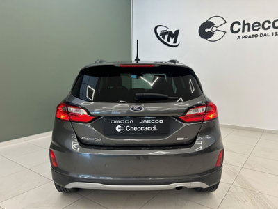 Ford Fiesta Active X 1.0 Ecoboost Hybrid 125 CV 5 porte (5)