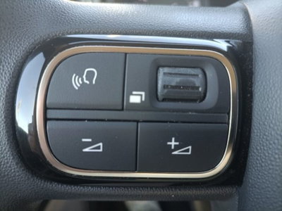 Citroen C3 BlueHDi 100 S&S You (15)