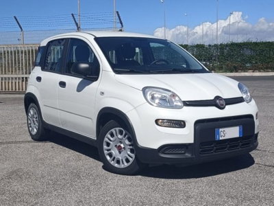 Fiat Panda 1.0 firefly hybrid s&s 70cv 5p.ti usata