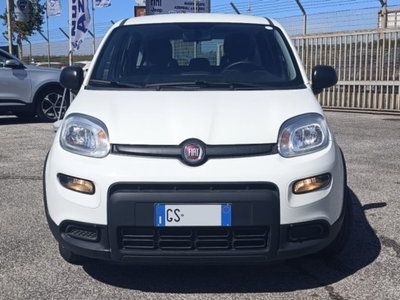 Fiat Panda 1.0 firefly hybrid s&s 70cv 5p.ti (2)