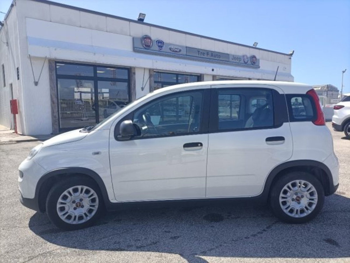 Fiat Panda 1.0 firefly hybrid s&s 70cv 5p.ti (4)