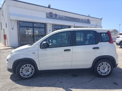 Fiat Panda 1.0 firefly hybrid s&s 70cv 5p.ti (4)