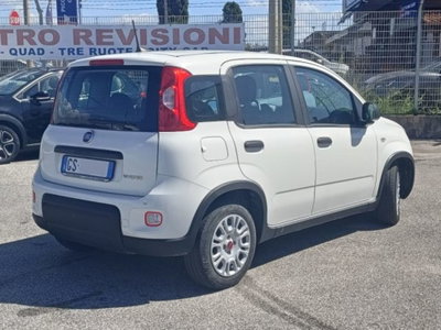Fiat Panda 1.0 firefly hybrid s&s 70cv 5p.ti (7)