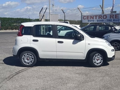 Fiat Panda 1.0 firefly hybrid s&s 70cv 5p.ti (8)