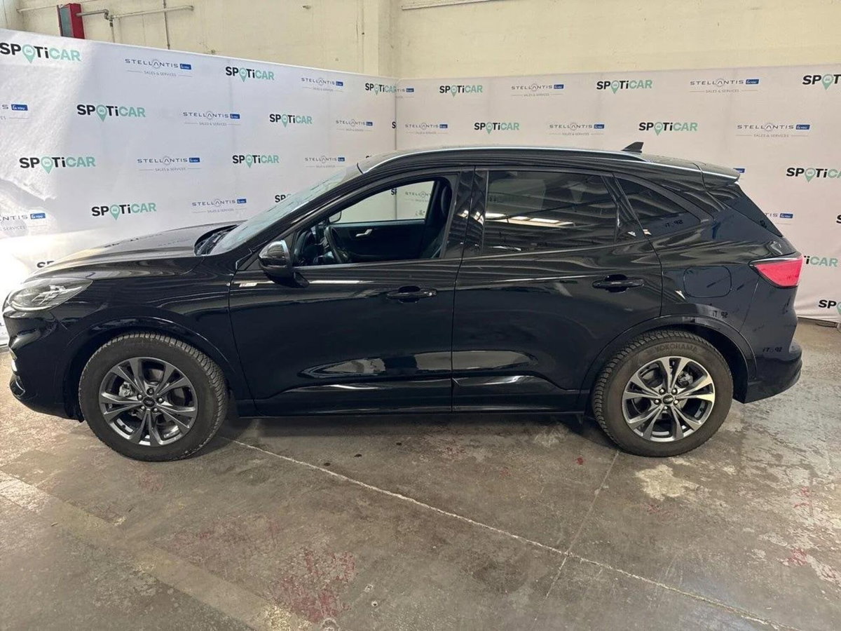 Ford Kuga 2.5 Full Hybrid 190 CV CVT 2WD ST-Line X (6)