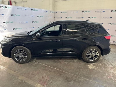 Ford Kuga 2.5 Full Hybrid 190 CV CVT 2WD ST-Line X (6)
