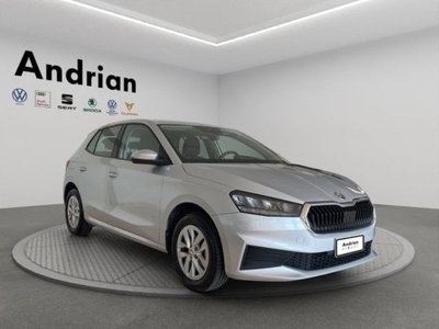 Skoda Fabia 1.0 TSI EVO 95 CV Ambition (4)