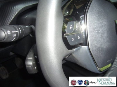 Peugeot 2008 PureTech 100 S&S Allure (13)