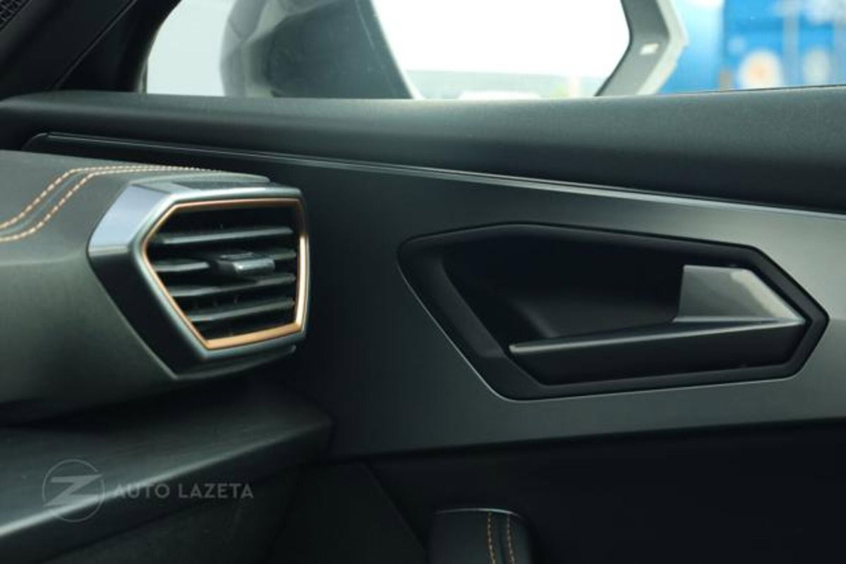Cupra Formentor Formentor 2.0 TDI (10)