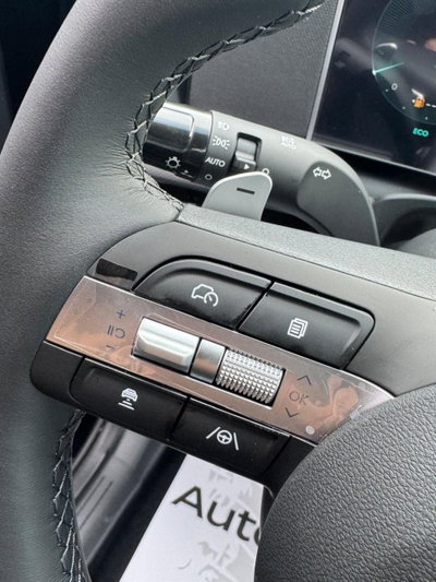 Hyundai Tucson 1.6 hev Business 2wd 239cv auto (16)