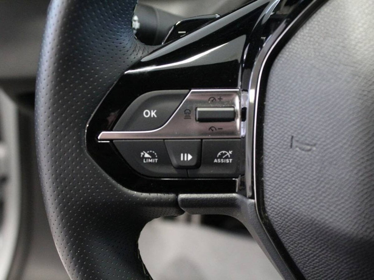 Peugeot 308 SW 1.2 hybrid GT Exclusive 145cv e-dcs 6 (16)