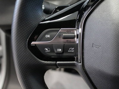 Peugeot 308 SW 1.2 hybrid GT Exclusive 145cv e-dcs 6 (16)