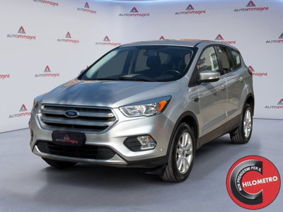 Ford Kuga 1.5 TDCI 120 CV S&S 2WD Titanium usata