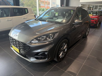 Ford Kuga 1.5 EcoBoost 150 CV 2WD ST-Line usata