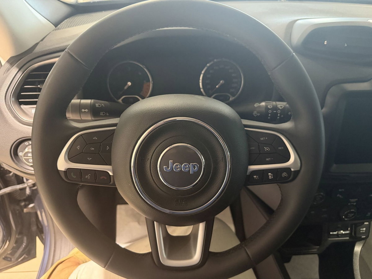 Jeep Renegade 1.6 mjt Limited 2wd 130cv (10)