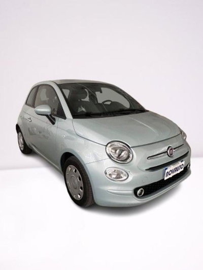 Fiat 500 1.0 Hybrid Cult usata