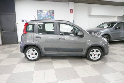 Fiat Panda 1.0 firefly hybrid s&s 70cv 5p.ti (3)