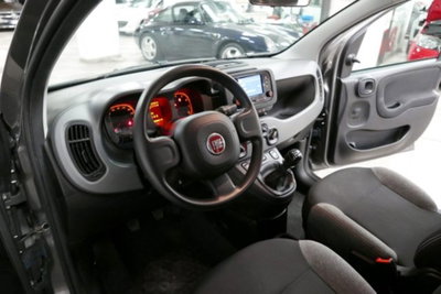 Fiat Panda 1.0 firefly hybrid s&s 70cv 5p.ti (7)