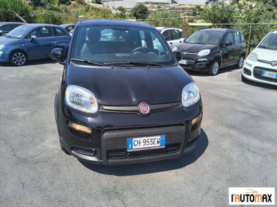 Fiat Panda 1.0 FireFly S&S Hybrid City Cross usata