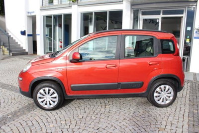 Fiat Panda 1.3 MJT S&S 4x4 (2)