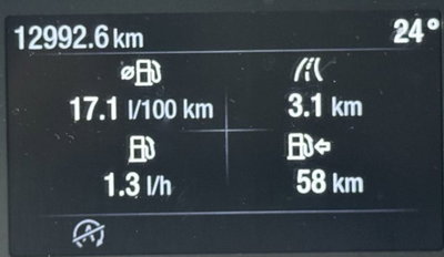 Ford Tourneo Custom 320 2.0 EcoBlue 170CV aut. PL Titanium (11)