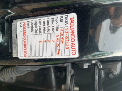 Opel Insignia Station Wagon CDTI 160CV Sports Cosmo (17)