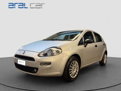 Fiat Punto 1.2 8V 5 porte Street usata