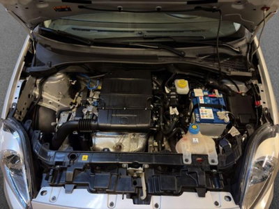 Fiat Punto 1.2 8V 5 porte Street (14)
