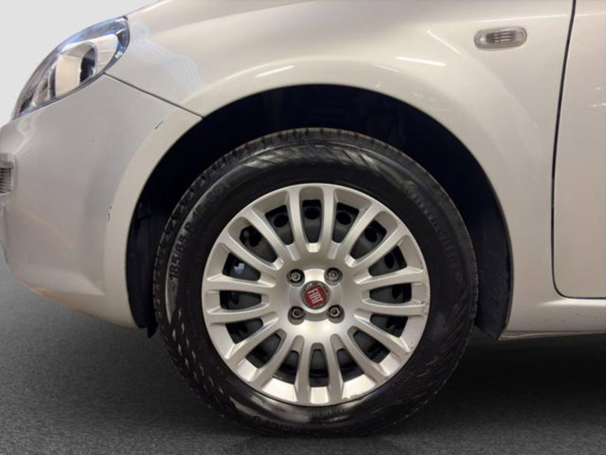 Fiat Punto 1.2 8V 5 porte Street (15)