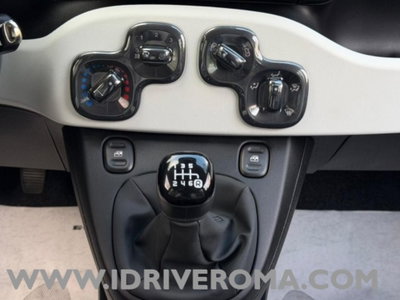 Fiat Panda Cross Cross 1.0 FireFly S&S Hybrid (10)