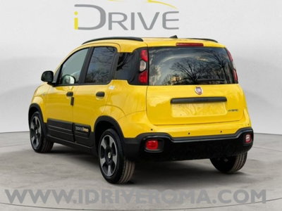 Fiat Panda Cross Cross 1.0 FireFly S&S Hybrid (4)