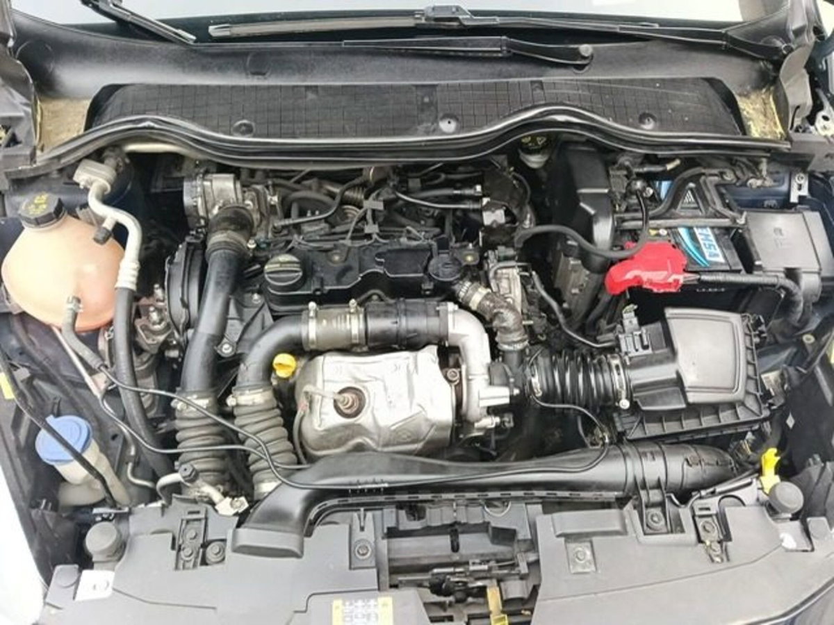 Ford Fiesta 1.5 TDCi 85 CV 3 porte  Business (15)