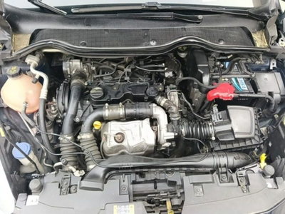 Ford Fiesta 1.5 TDCi 85 CV 3 porte  Business (15)