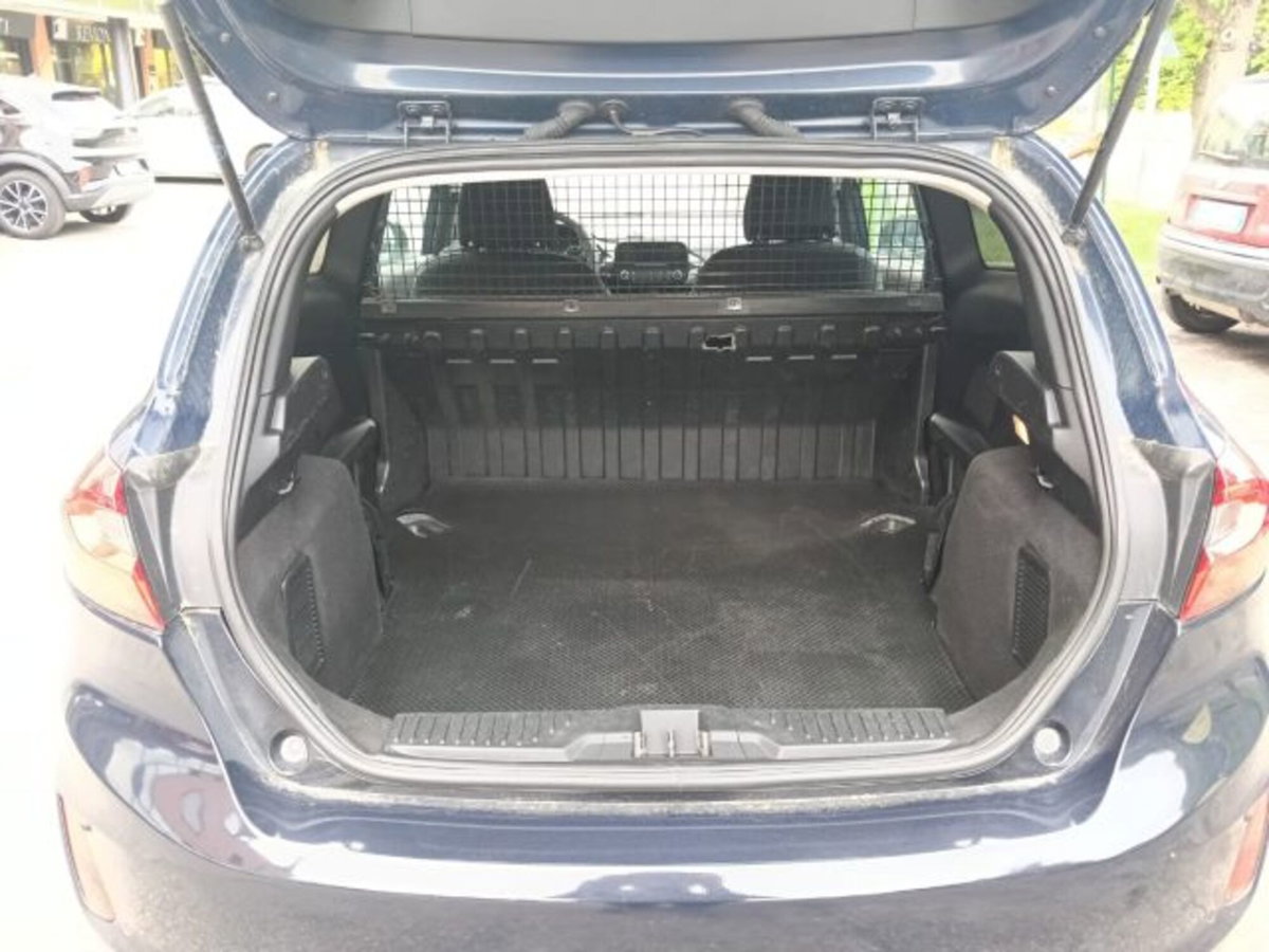 Ford Fiesta 1.5 TDCi 85 CV 3 porte  Business (6)