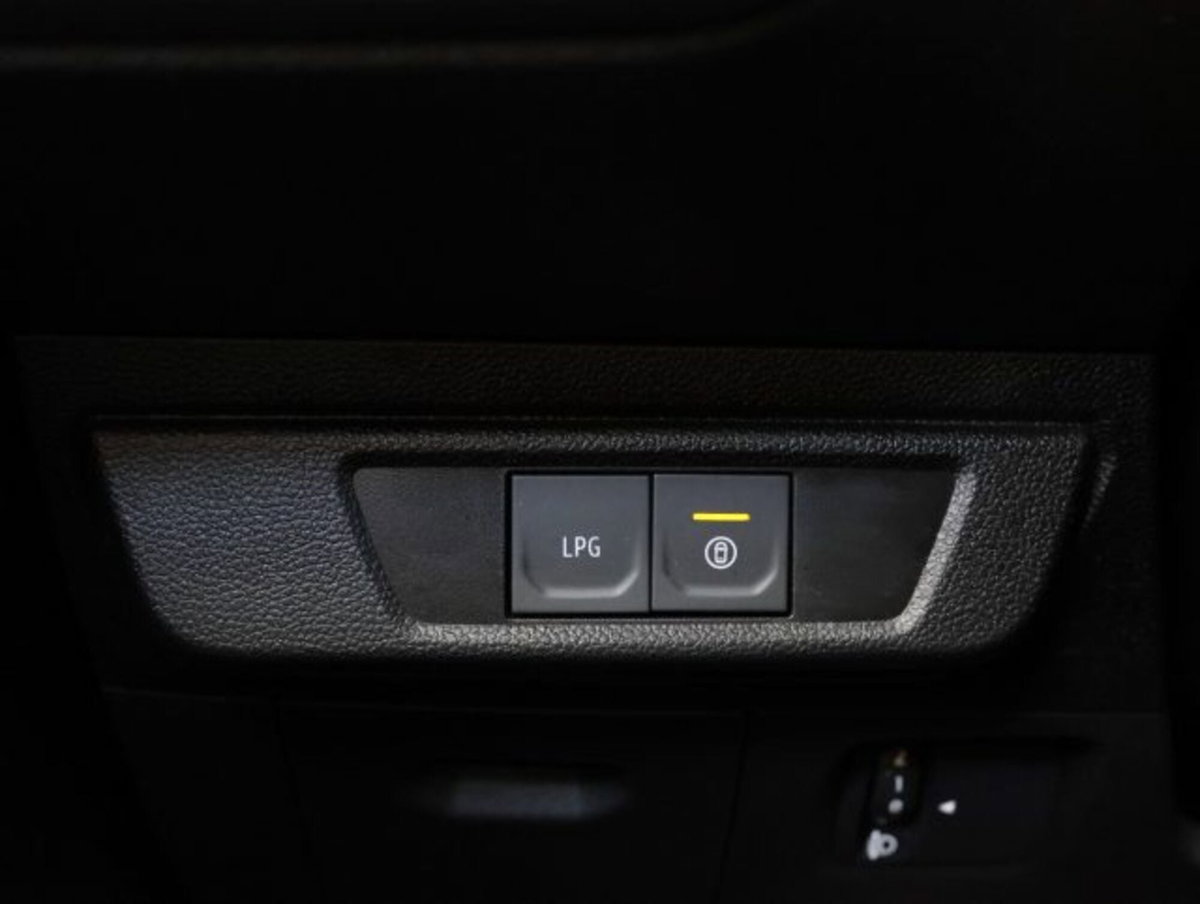 Dacia Sandero Stepway 1.0 tce Extreme Eco-g 100cv (19)
