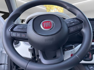Fiat Panda Cross 1.0 firefly hybrid Cross s&s 70cv 5p.ti (10)