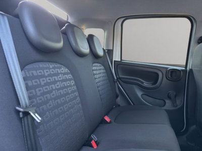 Fiat Panda Cross 1.0 firefly hybrid Cross s&s 70cv 5p.ti (19)