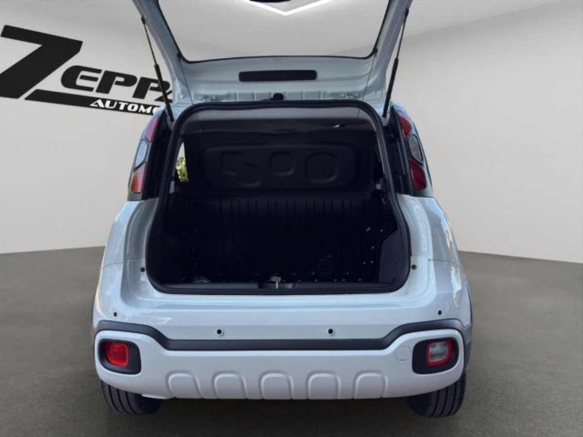 Fiat Panda Cross 1.0 firefly hybrid Cross s&s 70cv 5p.ti (20)